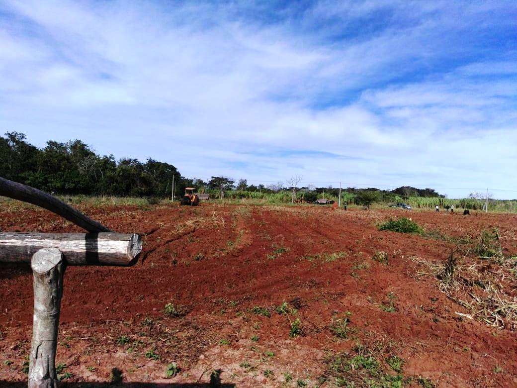 Comunidad_indigena_ruta_13_arraigo.jpg